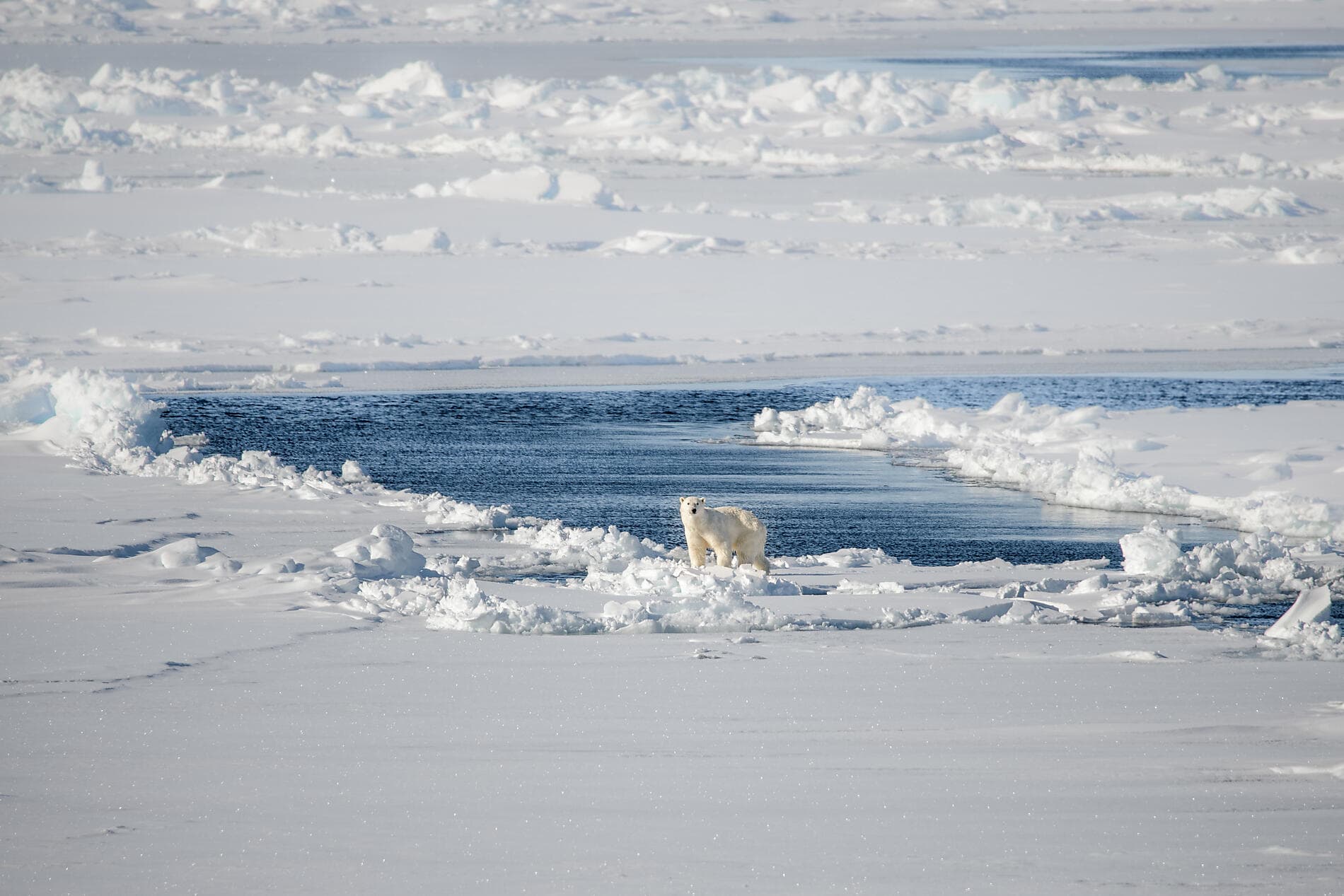 Beyond the inhabited world