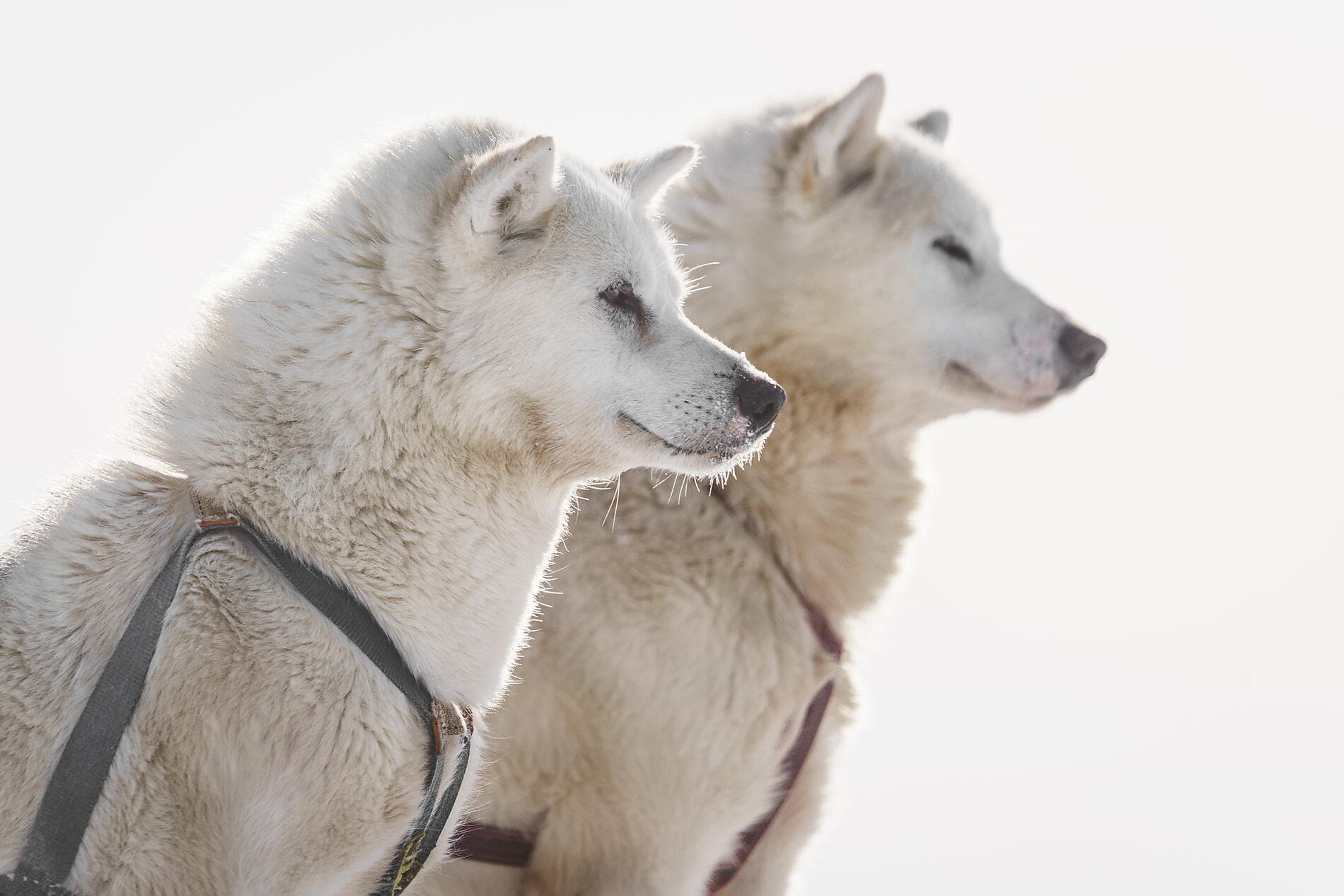 Beyond the inhabited world