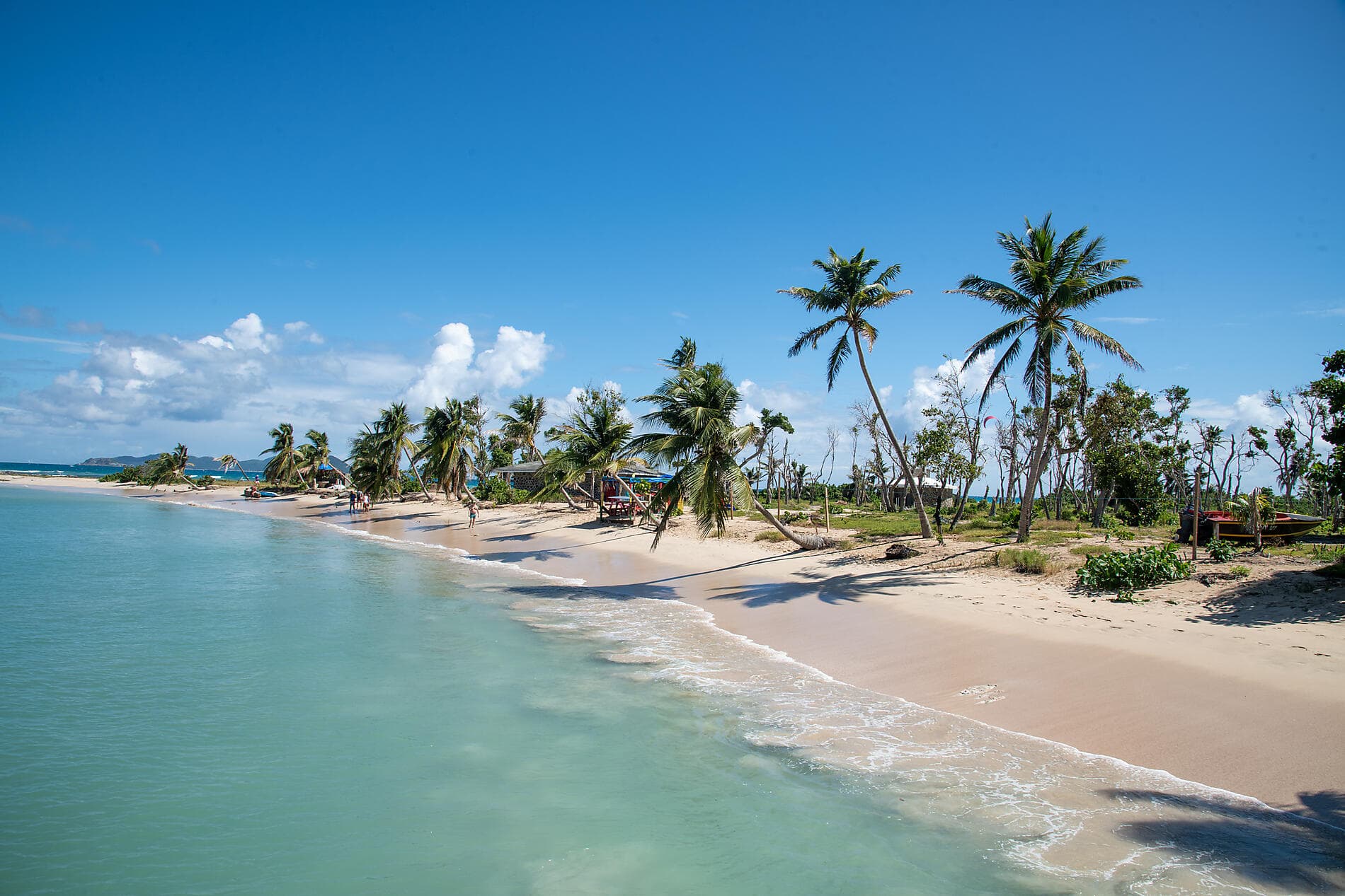 Pearls of the Caribbean