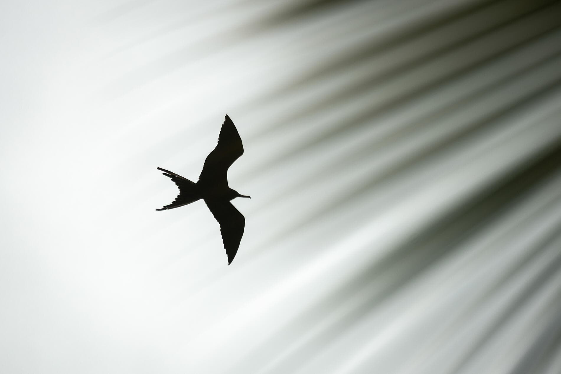 Panama, Colombia & Caribbean Islands